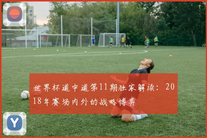 世界杯道中道第11期独家解读:2018年赛场内外的战略博弈