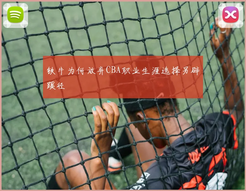 铁牛为何放弃CBA职业生涯选择另辟蹊径