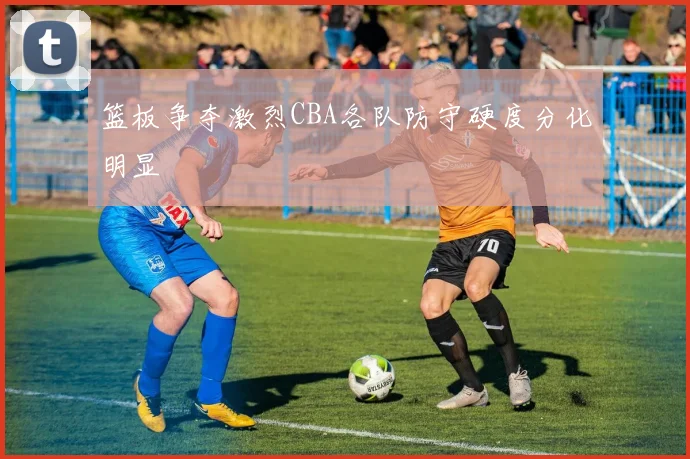 篮板争夺激烈CBA各队防守硬度分化明显