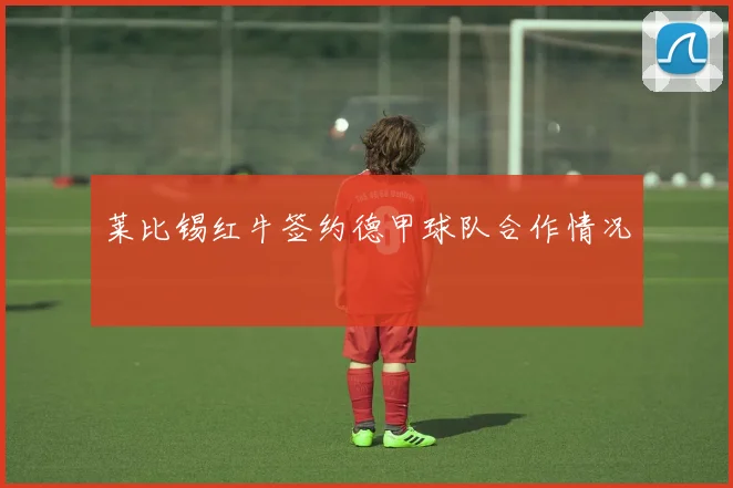 莱比锡红牛签约德甲球队合作情况