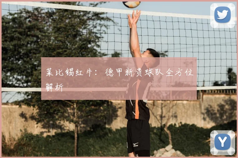 莱比锡红牛：德甲新贵球队全方位解析