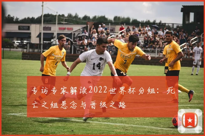 专访专家解读2022世界杯分组：死亡之组悬念与晋级之路