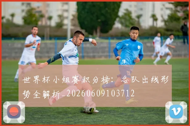 世界杯小组赛积分榜:各队出线形势全解析_20260609103712