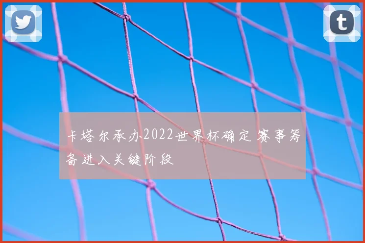 卡塔尔承办2022世界杯确定 赛事筹备进入关键阶段