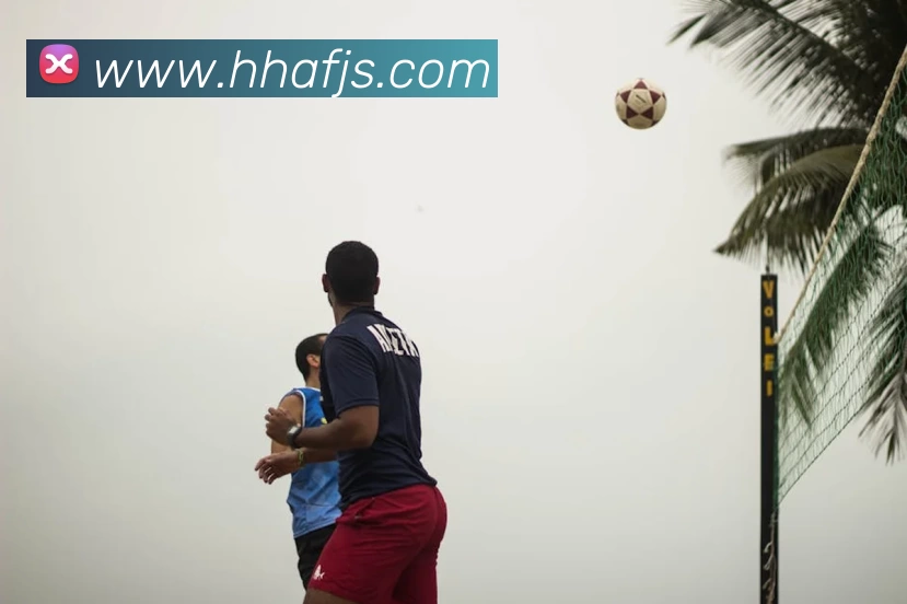 App Interface Preview