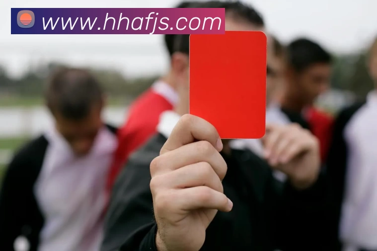 星空官网APP 封面图